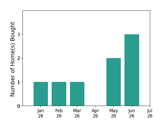Bar chart of total home sales by Luiz Brasil over the past 12 months