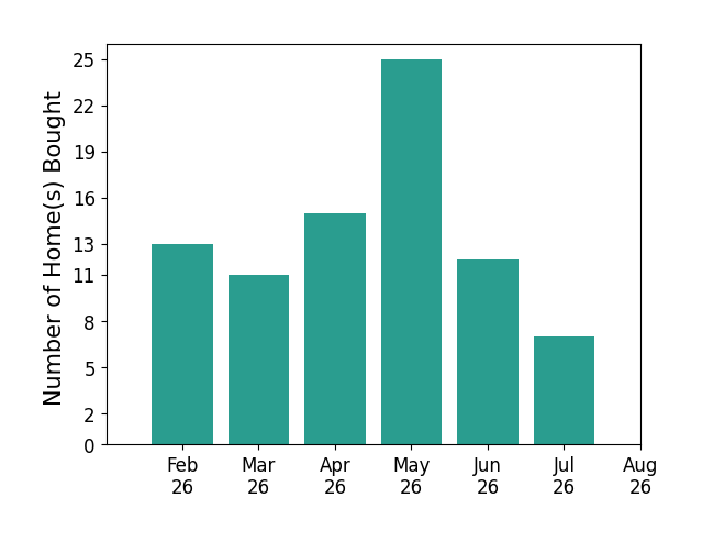 Bar chart of total home sales by NON MEMBER over the past 12 months