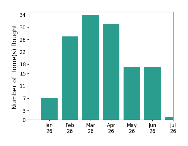 Bar chart of total home sales by Non Member over the past 12 months