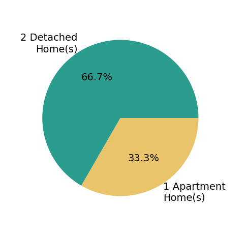 Pie chart showing home sales by property type for Joanna Carson