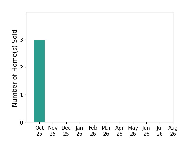 Bar chart of total home sales by Haifa Drummey over the past 12 months