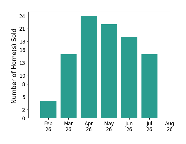 Joan Elflein sold 4 homes in February 2026, 15 homes in March 2026, 24 homes in April 2026, 22 homes in May 2026, 19 homes in June 2026, 15 homes in July 2026, for a total of 99 homes.