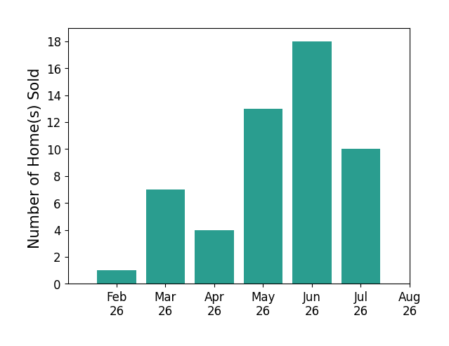 Amy Hoes sold 1 home in February 2026, 7 homes in March 2026, 4 homes in April 2026, 13 homes in May 2026, 18 homes in June 2026, 10 homes in July 2026, for a total of 53 homes.