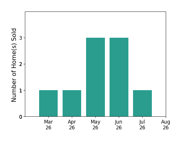 Martine Irmer sold 1 home in March 2026, 1 home in April 2026, 3 homes in May 2026, 3 homes in June 2026, 1 home in July 2026, for a total of 9 homes.