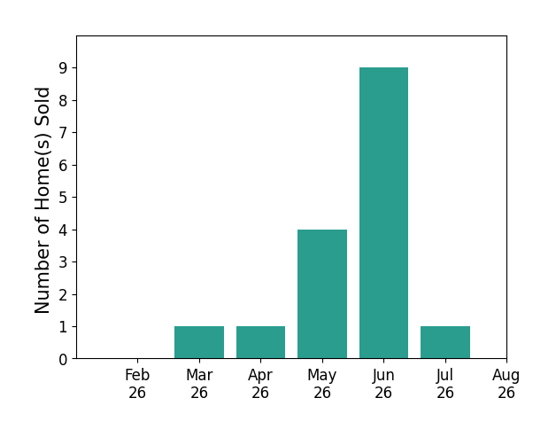 Daniel Effler sold 1 home in March 2026, 1 home in April 2026, 4 homes in May 2026, 9 homes in June 2026, 1 home in July 2026, for a total of 16 homes.