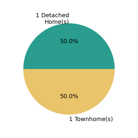 Pie chart showing home sales by property type for Leah Johnson  Realtor Johnson