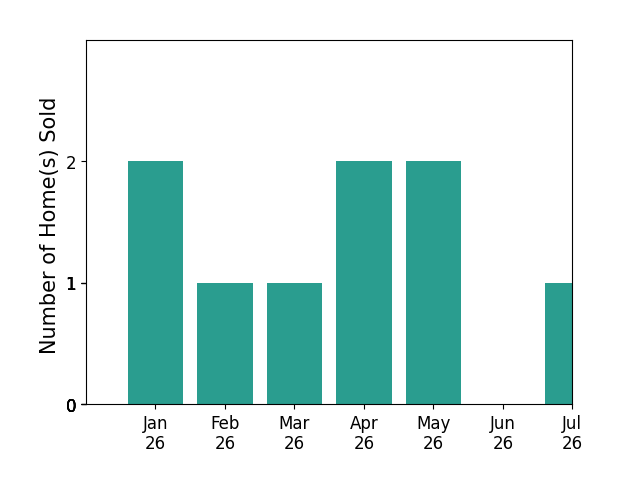 Bar chart of total home sales by Vivian Lesny over the past 12 months