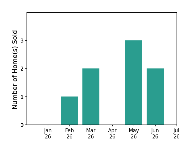 Bar chart of total home sales by LEI SHEN over the past 12 months